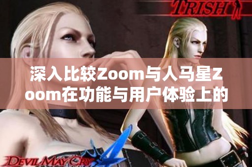 深入比较Zoom与人马星Zoom在功能与用户体验上的异同