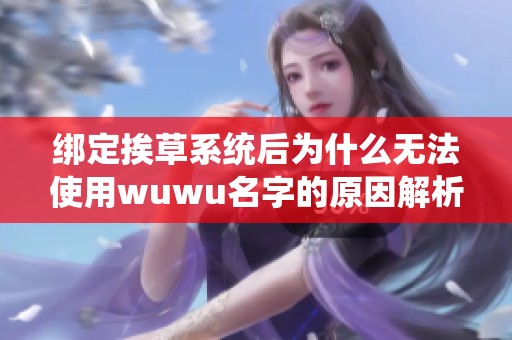 绑定挨草系统后为什么无法使用wuwu名字的原因解析