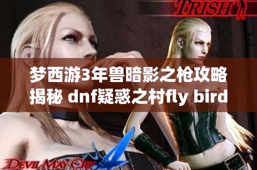 梦西游3年兽暗影之枪攻略揭秘 dnf疑惑之村fly birdie玩法解析