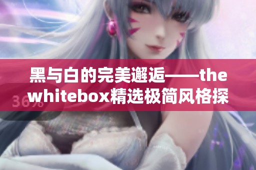 黑与白的完美邂逅——thewhitebox精选极简风格探秘