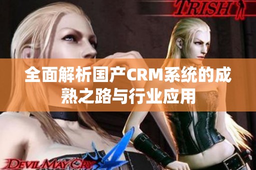 全面解析国产CRM系统的成熟之路与行业应用