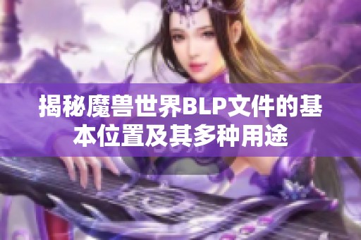 揭秘魔兽世界BLP文件的基本位置及其多种用途