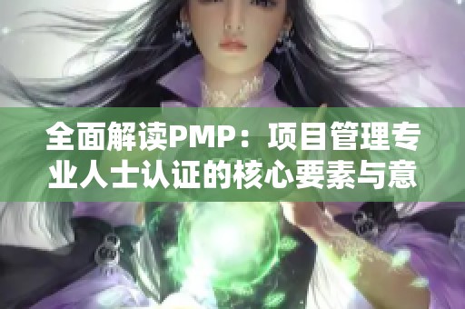 全面解读PMP：项目管理专业人士认证的核心要素与意义