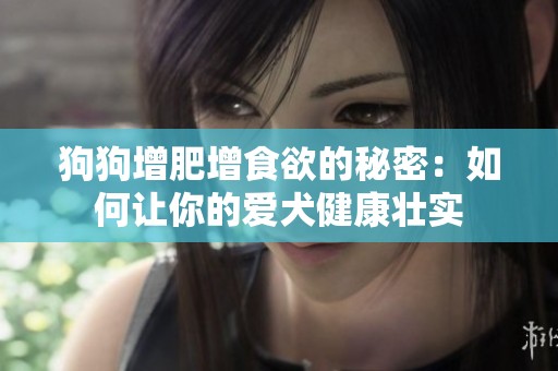 狗狗增肥增食欲的秘密：如何让你的爱犬健康壮实
