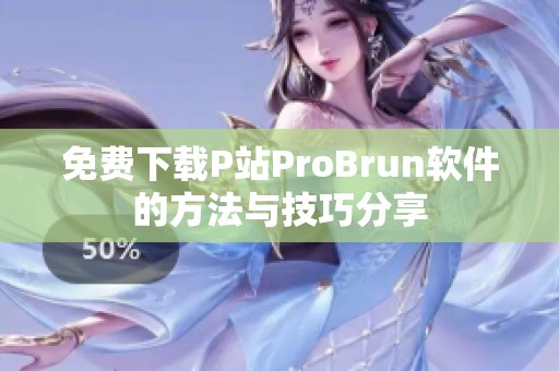 免费下载P站ProBrun软件的方法与技巧分享