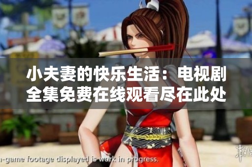 小夫妻的快乐生活：电视剧全集免费在线观看尽在此处