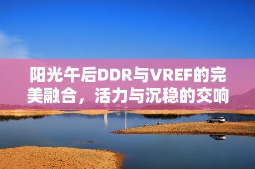 阳光午后DDR与VREF的完美融合，活力与沉稳的交响乐