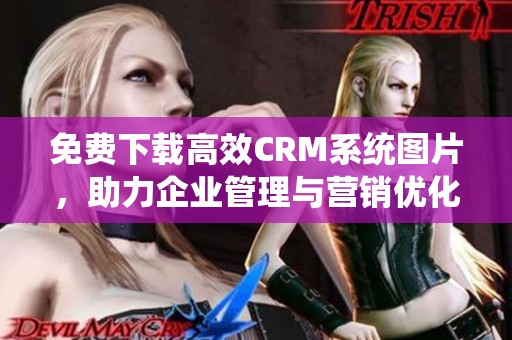 免费下载高效CRM系统图片，助力企业管理与营销优化