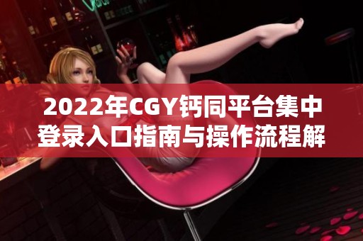 2022年CGY钙同平台集中登录入口指南与操作流程解析