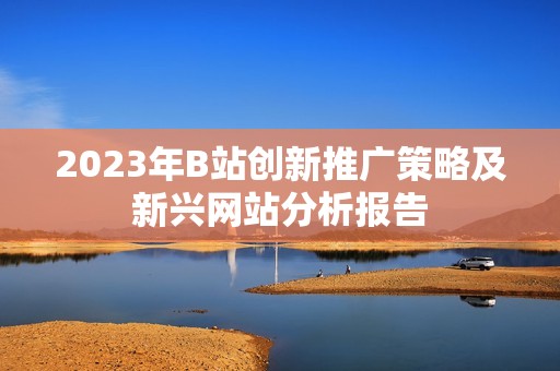 2023年B站创新推广策略及新兴网站分析报告