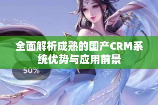 全面解析成熟的国产CRM系统优势与应用前景