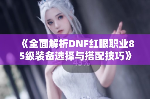 《全面解析DNF红眼职业85级装备选择与搭配技巧》