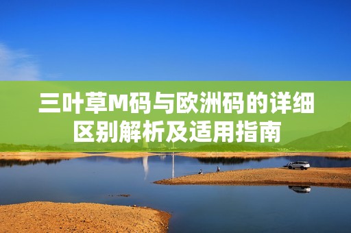 三叶草M码与欧洲码的详细区别解析及适用指南