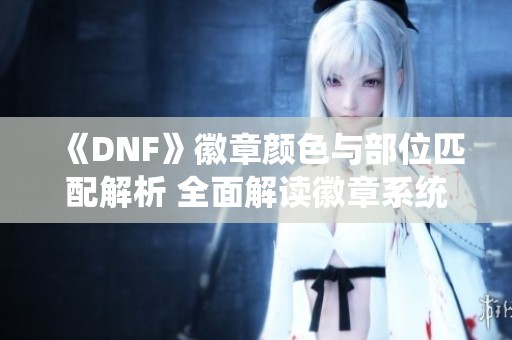 《DNF》徽章颜色与部位匹配解析 全面解读徽章系统