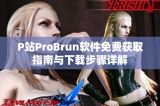 P站ProBrun软件免费获取指南与下载步骤详解