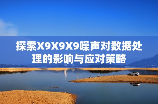 探索X9X9X9噪声对数据处理的影响与应对策略