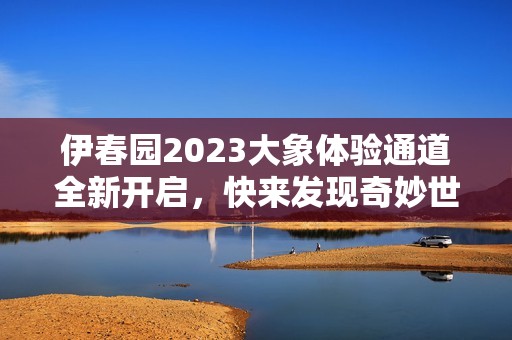 伊春园2023大象体验通道全新开启，快来发现奇妙世界