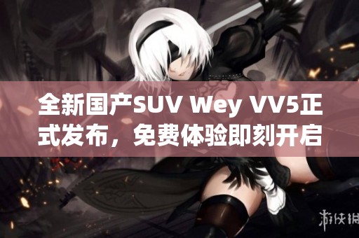 全新国产SUV Wey VV5正式发布，免费体验即刻开启