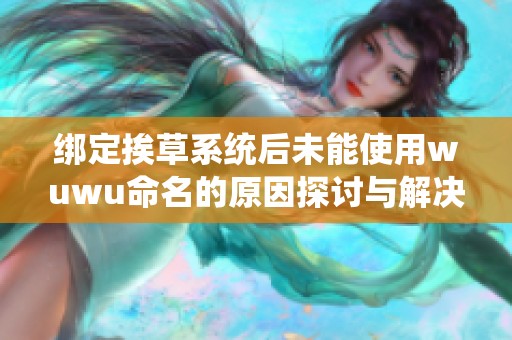 绑定挨草系统后未能使用wuwu命名的原因探讨与解决方案