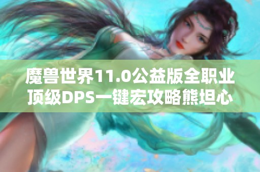 魔兽世界11.0公益版全职业顶级DPS一键宏攻略熊坦心得分享