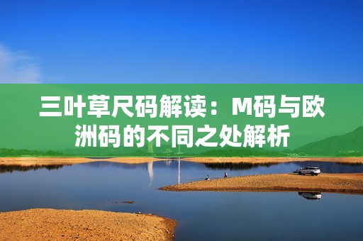 三叶草尺码解读：M码与欧洲码的不同之处解析