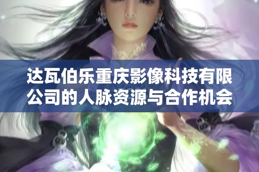 达瓦伯乐重庆影像科技有限公司的人脉资源与合作机会分析