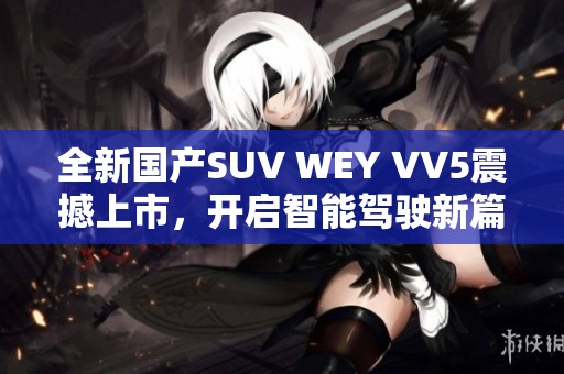 全新国产SUV WEY VV5震撼上市，开启智能驾驶新篇章