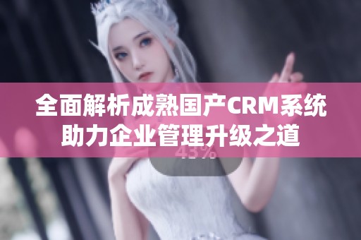 全面解析成熟国产CRM系统助力企业管理升级之道