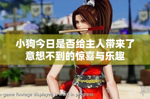 小狗今日是否给主人带来了意想不到的惊喜与乐趣