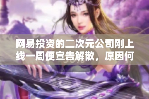 网易投资的二次元公司刚上线一周便宣告解散，原因何在