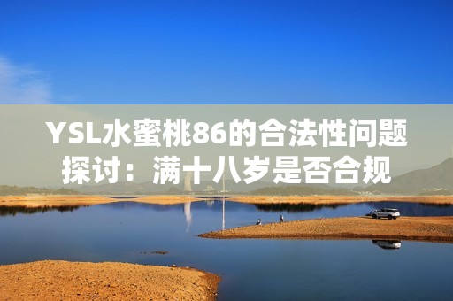 YSL水蜜桃86的合法性问题探讨：满十八岁是否合规