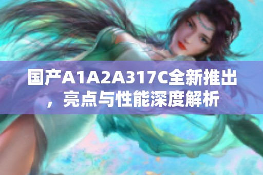 国产A1A2A317C全新推出，亮点与性能深度解析