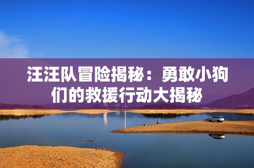 汪汪队冒险揭秘：勇敢小狗们的救援行动大揭秘