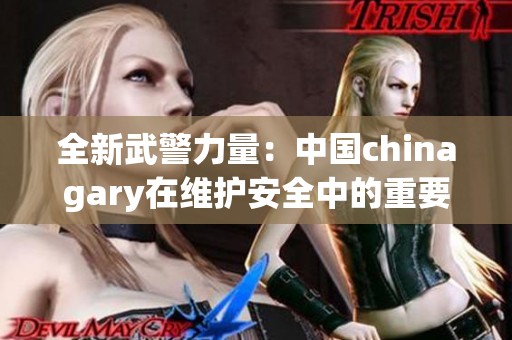 全新武警力量：中国chinagary在维护安全中的重要角色