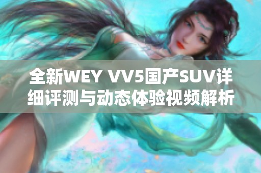 全新WEY VV5国产SUV详细评测与动态体验视频解析