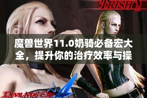 魔兽世界11.0奶骑必备宏大全，提升你的治疗效率与操作体验