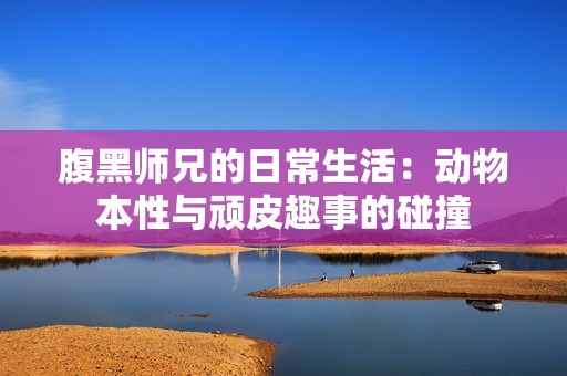 腹黑师兄的日常生活：动物本性与顽皮趣事的碰撞