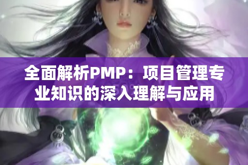 全面解析PMP：项目管理专业知识的深入理解与应用