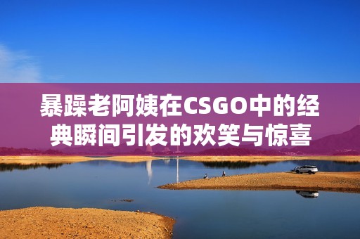 暴躁老阿姨在CSGO中的经典瞬间引发的欢笑与惊喜