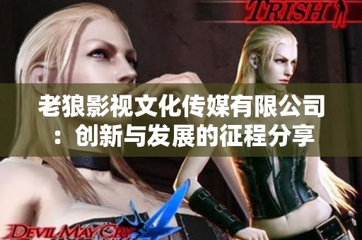 老狼影视文化传媒有限公司：创新与发展的征程分享