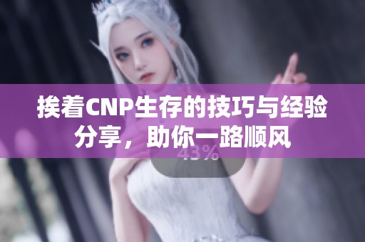 挨着CNP生存的技巧与经验分享，助你一路顺风