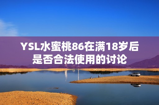 YSL水蜜桃86在满18岁后是否合法使用的讨论