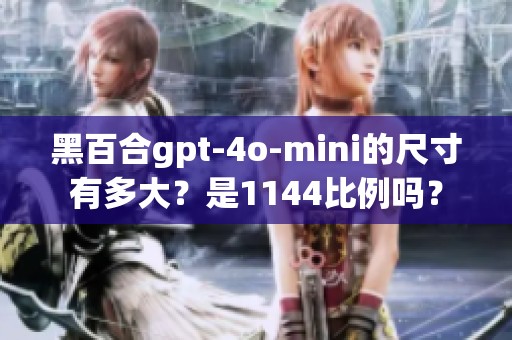 黑百合gpt-4o-mini的尺寸有多大？是1144比例吗？