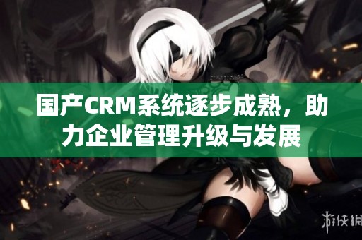 国产CRM系统逐步成熟，助力企业管理升级与发展