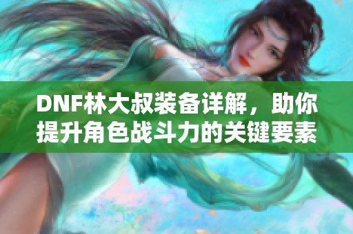 DNF林大叔装备详解，助你提升角色战斗力的关键要素分析