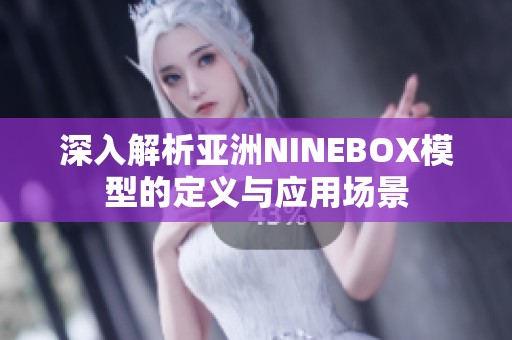 深入解析亚洲NINEBOX模型的定义与应用场景