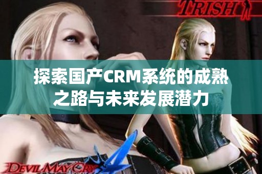 探索国产CRM系统的成熟之路与未来发展潜力