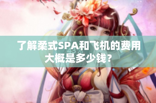 了解柔式SPA和飞机的费用大概是多少钱？