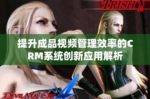 提升成品视频管理效率的CRM系统创新应用解析