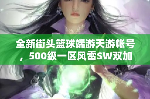 全新街头篮球端游天游帐号，500级一区风雷SW双加攻略分享